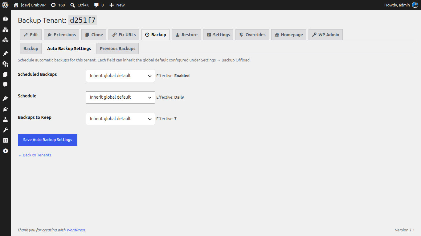 Backup tenant screen, Auto Backup schedule tab